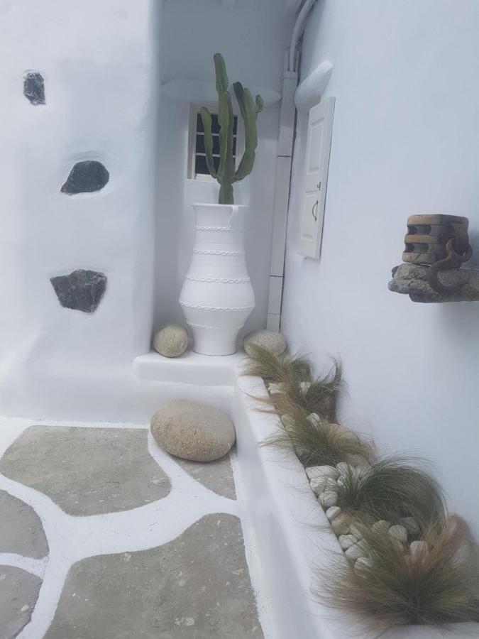 Drafaki Cassaris Mykonosヴィラ エクステリア 写真